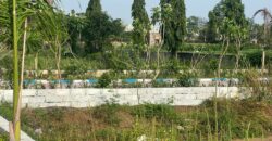 VRB Sapphire Park-2